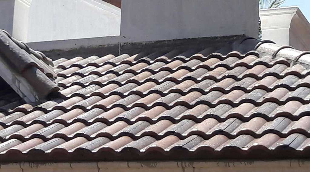 A completed Sirex project