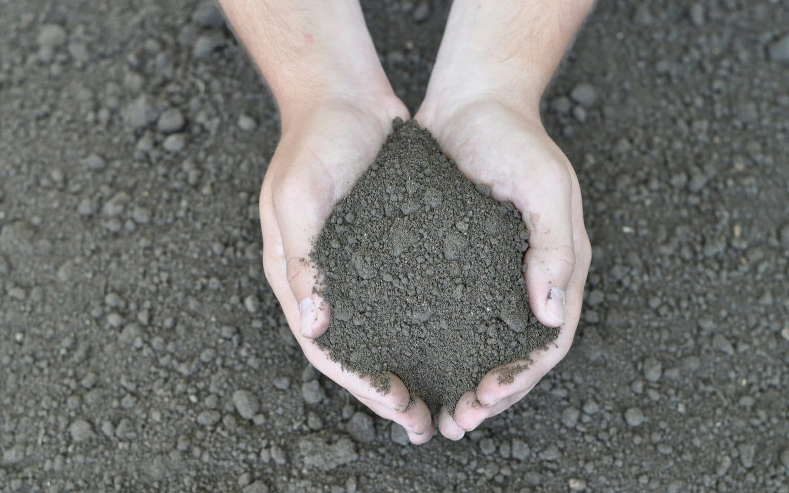 Garden paver, laid