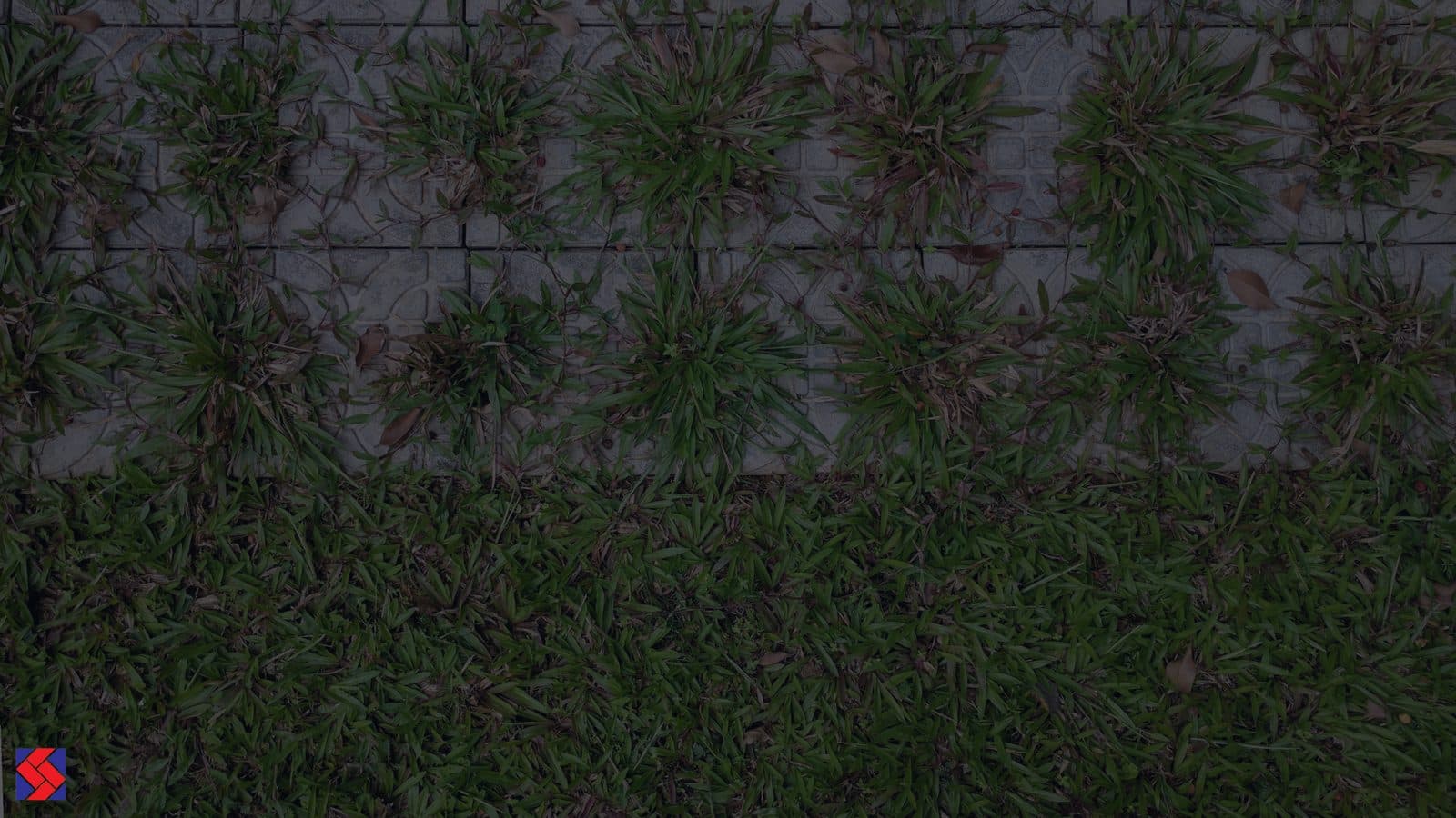 Garden paver, laid