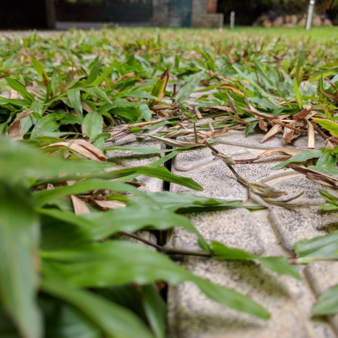 Best Garden Paver in India